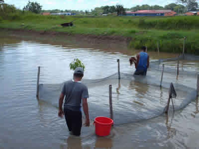 Sistemas de produccion